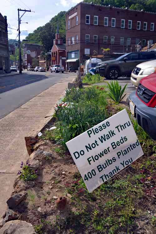 flowers planted